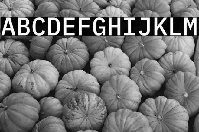 IBM Plex Mono Medium Font examples