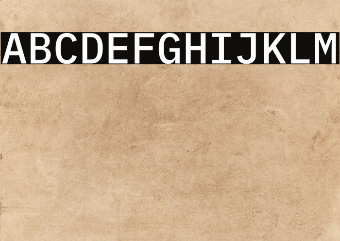 IBM Plex Mono Medium Example 3