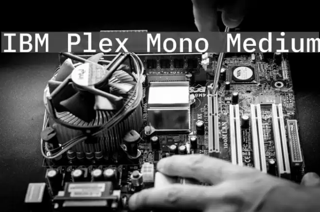 IBM Plex Mono Medium Font examples