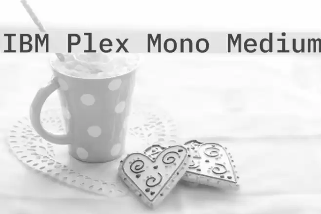 IBM Plex Mono Medium Font examples