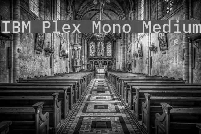 IBM Plex Mono Medium Font examples