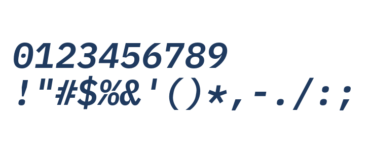 IBM Plex Mono SemiBold Italic Other Characters