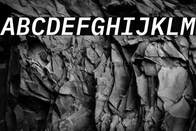 IBM Plex Mono SemiBold Italic Font examples