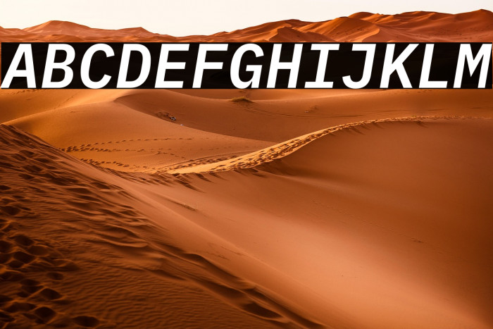 IBM Plex Mono SemiBold Italic Example 3