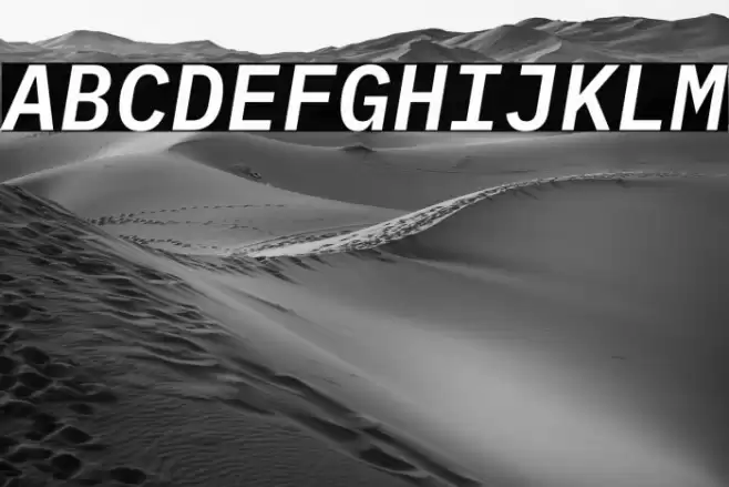 IBM Plex Mono SemiBold Italic Font examples