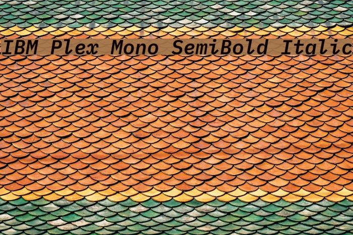 IBM Plex Mono SemiBold Italic Font examples