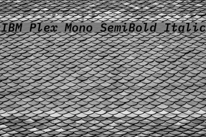IBM Plex Mono SemiBold Italic Font examples