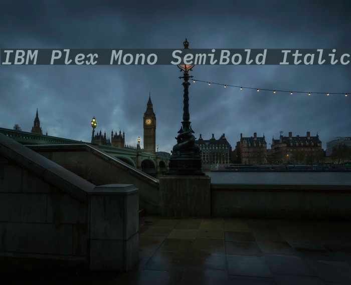 IBM Plex Mono SemiBold Italic Font examples