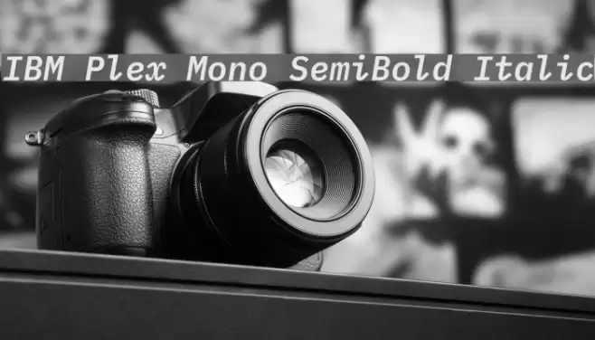 IBM Plex Mono SemiBold Italic Font examples