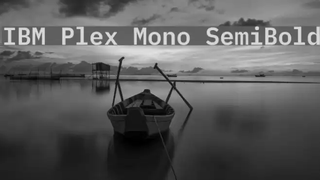 IBM Plex Mono SemiBold Caratteri examples