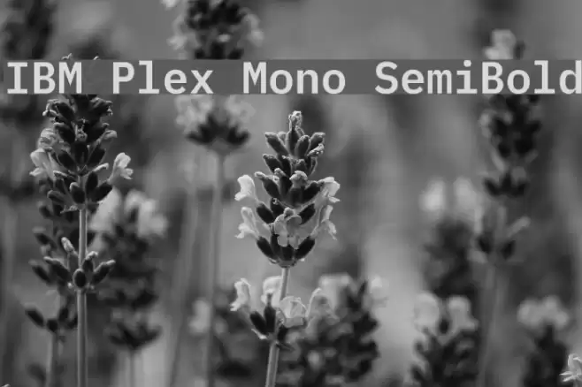 IBM Plex Mono SemiBold Caratteri examples