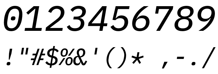 IBM Plex Mono Text Italic Font OTHER CHARS