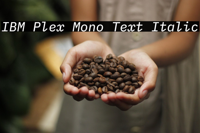 IBM Plex Mono Text Italic Example 2