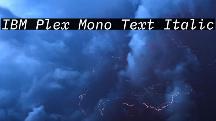 IBM Plex Mono Text Italic Example 3