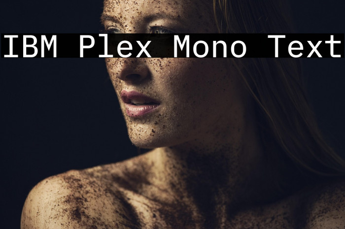 IBM Plex Mono Text Example 1