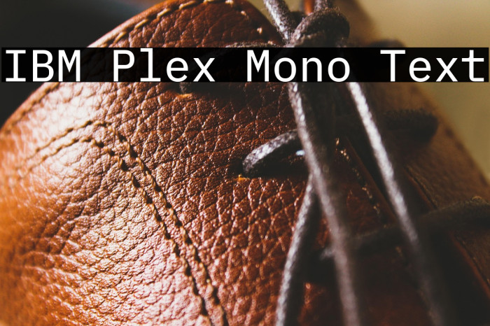 IBM Plex Mono Text Example 2