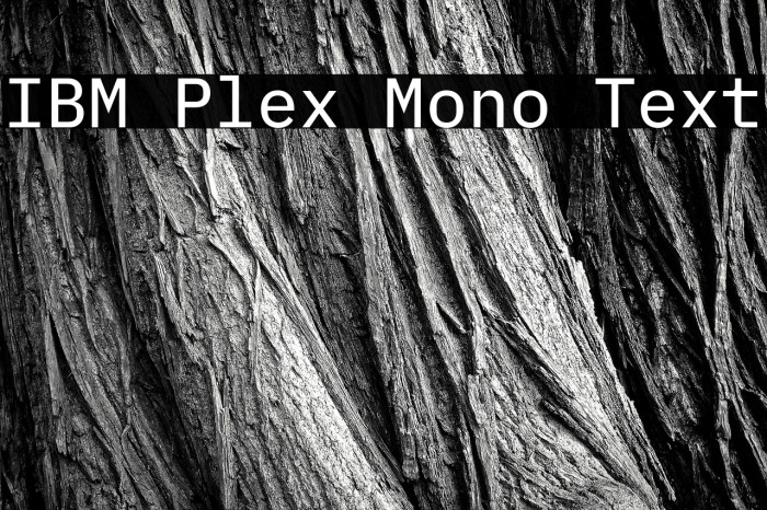 IBM Plex Mono Text Example 3