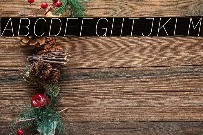 IBM Plex Mono Thin Italic Example 1