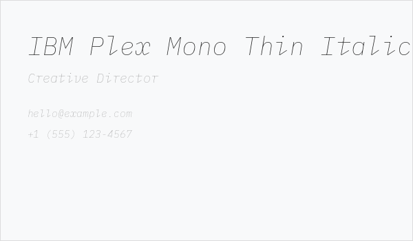 IBM Plex Mono Thin Italic Business Card
