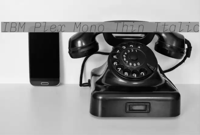 IBM Plex Mono Thin Italic Font examples