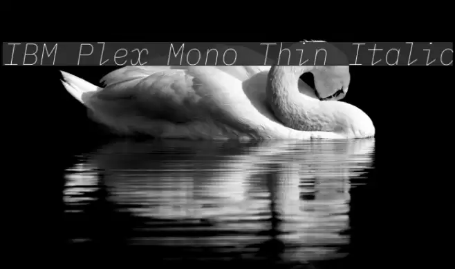 IBM Plex Mono Thin Italic Font examples