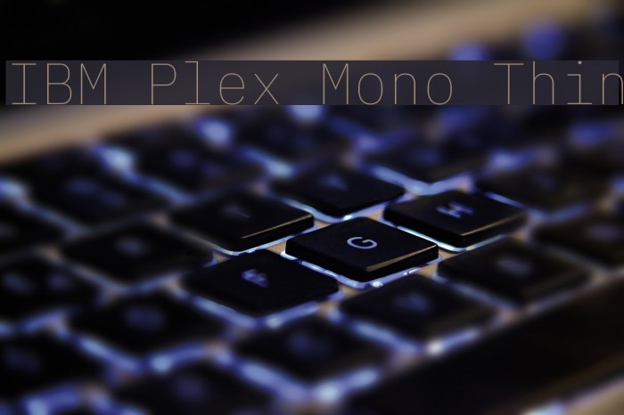 IBM Plex Mono Thin Font examples