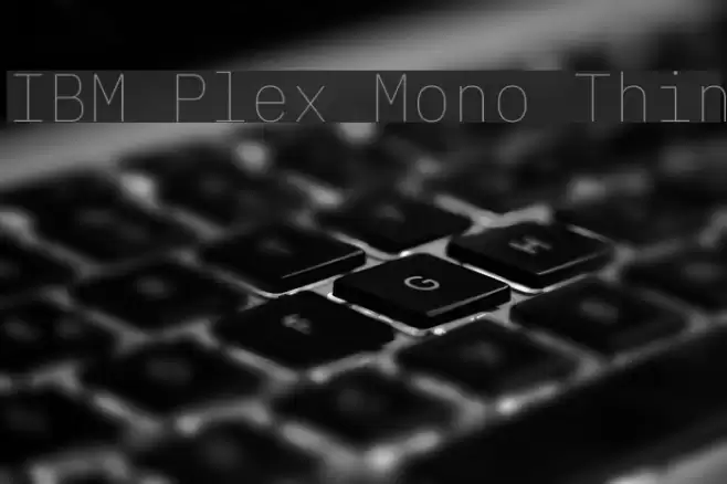 IBM Plex Mono Thin Font examples