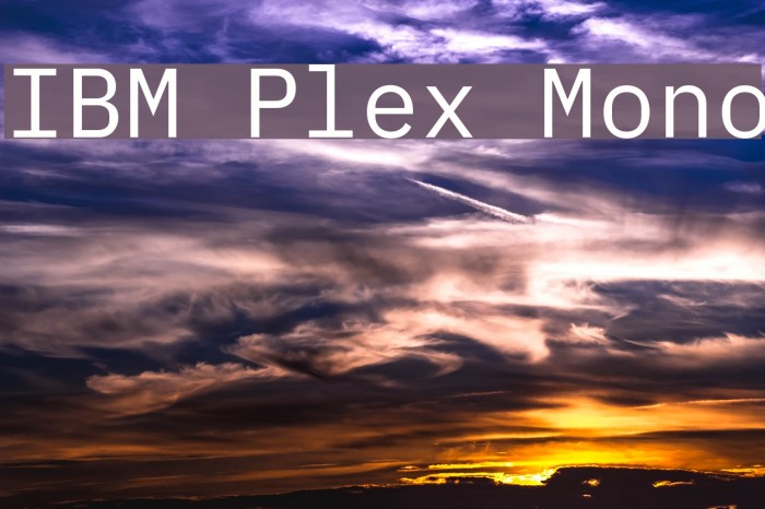IBM Plex Mono Font examples