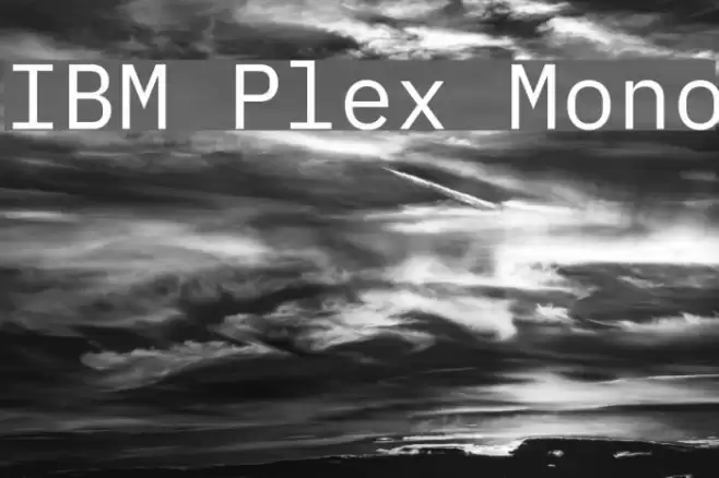 IBM Plex Mono Font examples