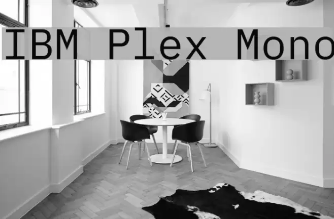 IBM Plex Mono Font examples