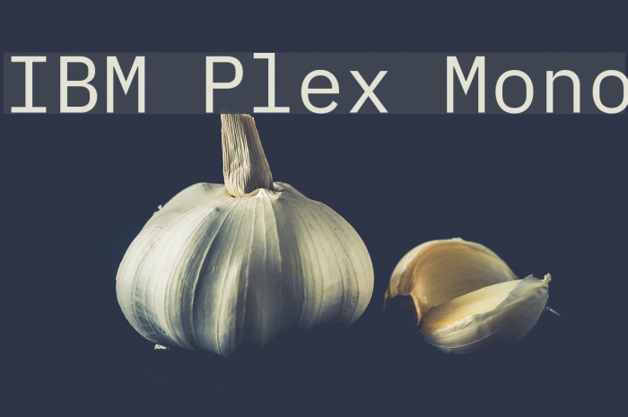 IBM Plex Mono Font examples