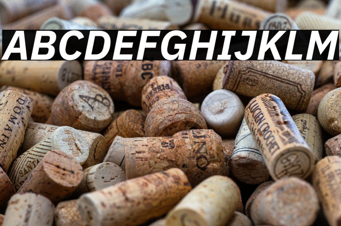 IBM Plex Sans Bold Italic Example 1