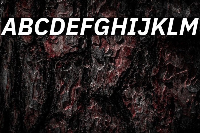 IBM Plex Sans Bold Italic Example 2