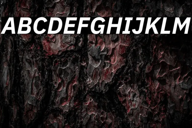 IBM Plex Sans Bold Italic Example 2