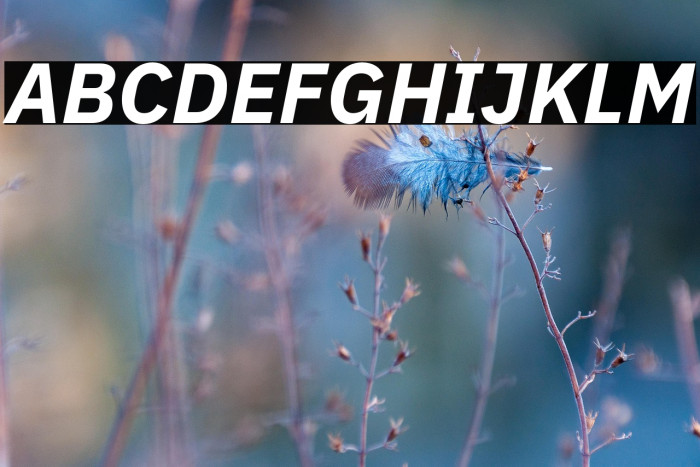 IBM Plex Sans Bold Italic Example 3