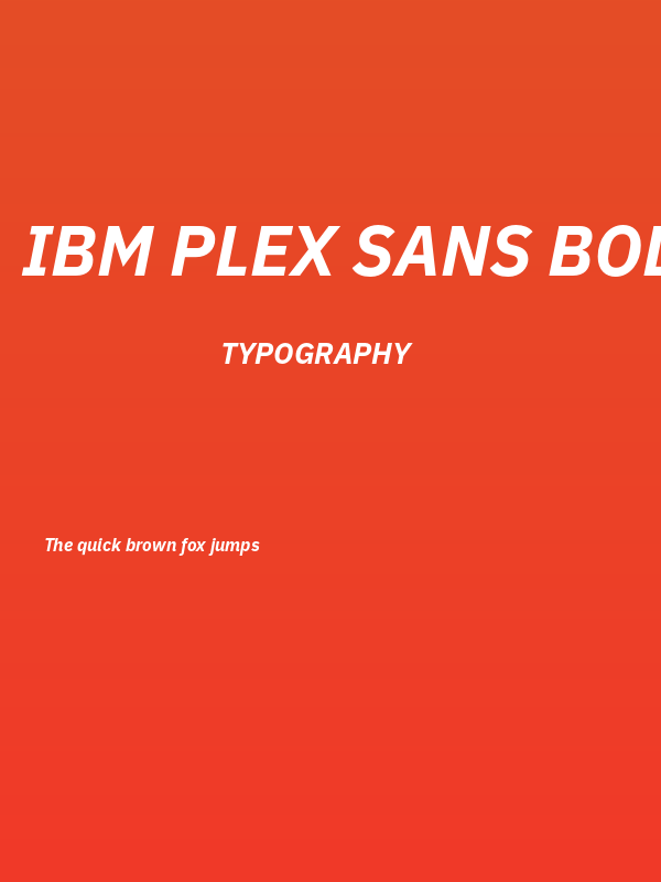 IBM Plex Sans Bold Italic Poster