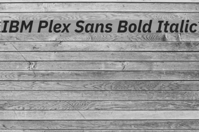 IBM Plex Sans Bold Italic Font examples