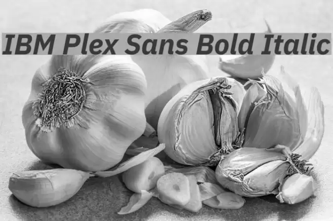 IBM Plex Sans Bold Italic Font examples