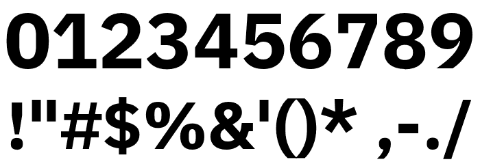IBM Plex Sans Bold Font OTHER CHARS