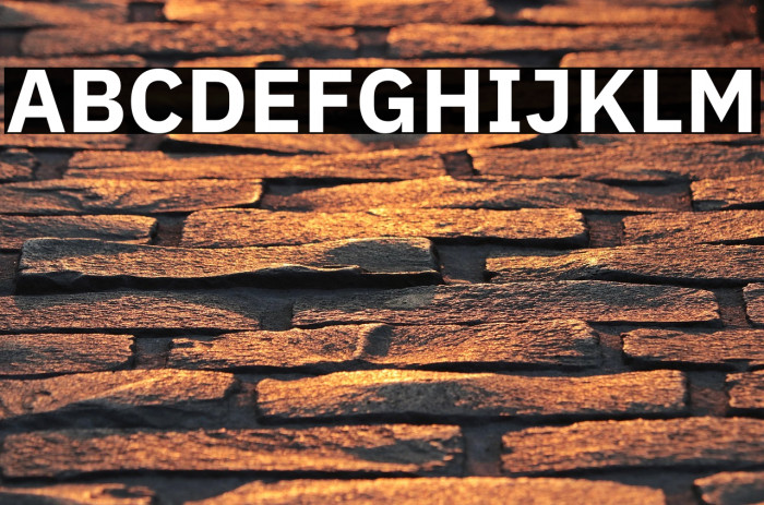 IBM Plex Sans Bold Example 2