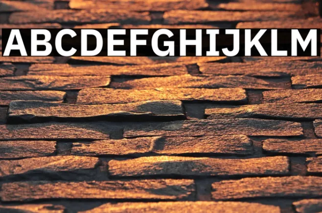 IBM Plex Sans Bold Example 2
