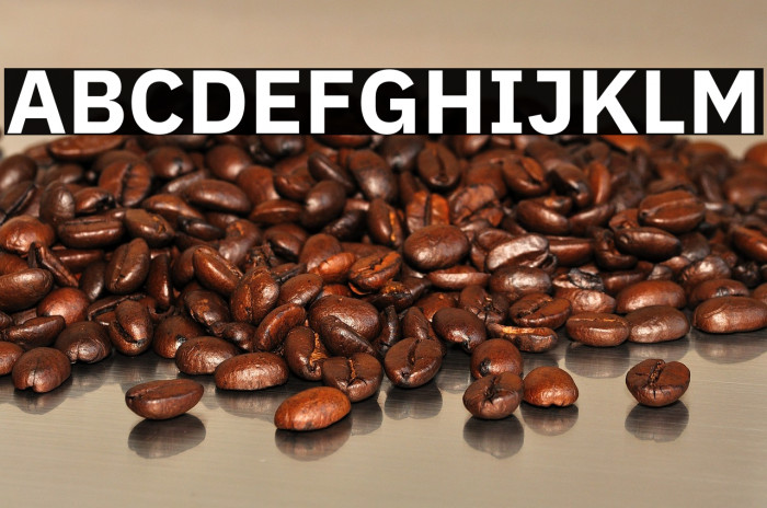 IBM Plex Sans Bold Example 3