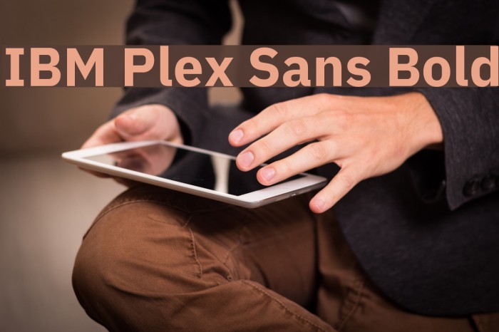 IBM Plex Sans Bold Example 1