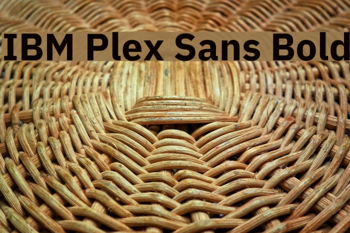 IBM Plex Sans Bold Example 3