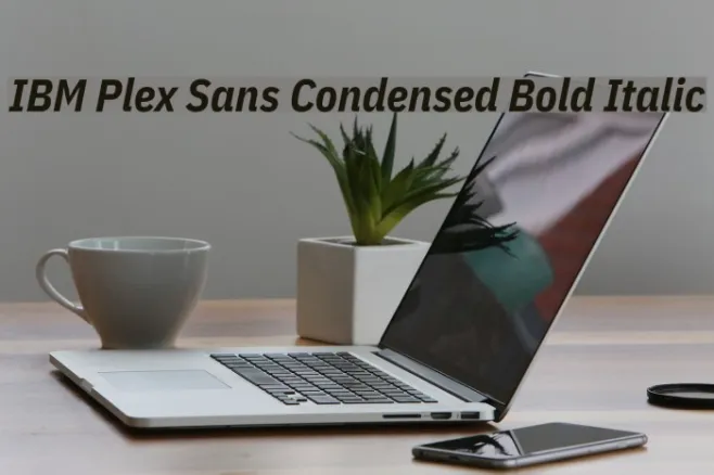 IBM Plex Sans Condensed Bold Italic Example 1
