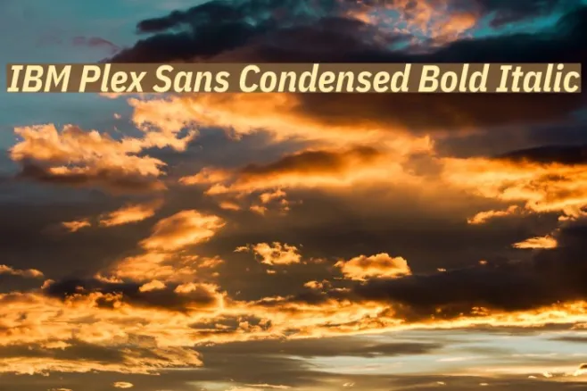 IBM Plex Sans Condensed Bold Italic Example 2