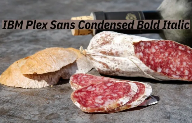 IBM Plex Sans Condensed Bold Italic Example 3