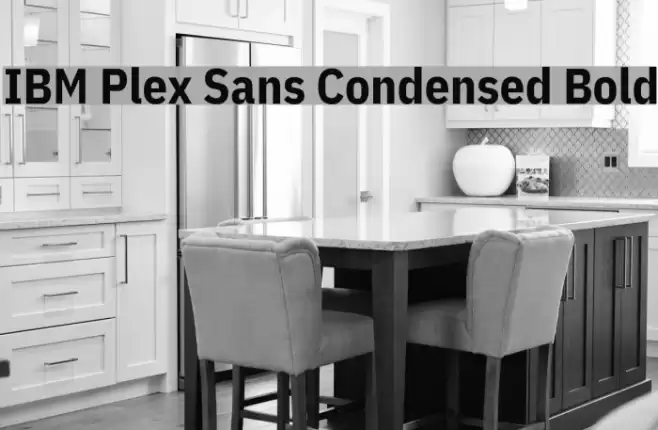 IBM Plex Sans Condensed Bold Font examples
