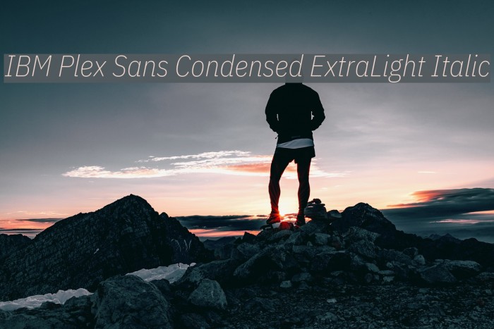 IBM Plex Sans Condensed ExtraLight Italic Font examples