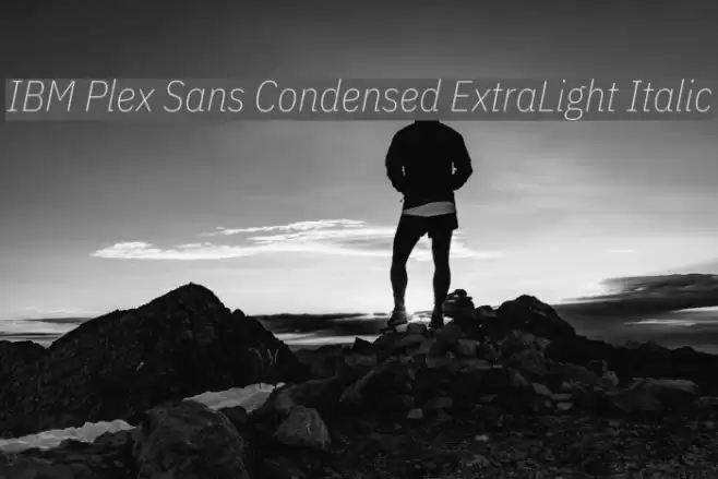 IBM Plex Sans Condensed ExtraLight Italic examples